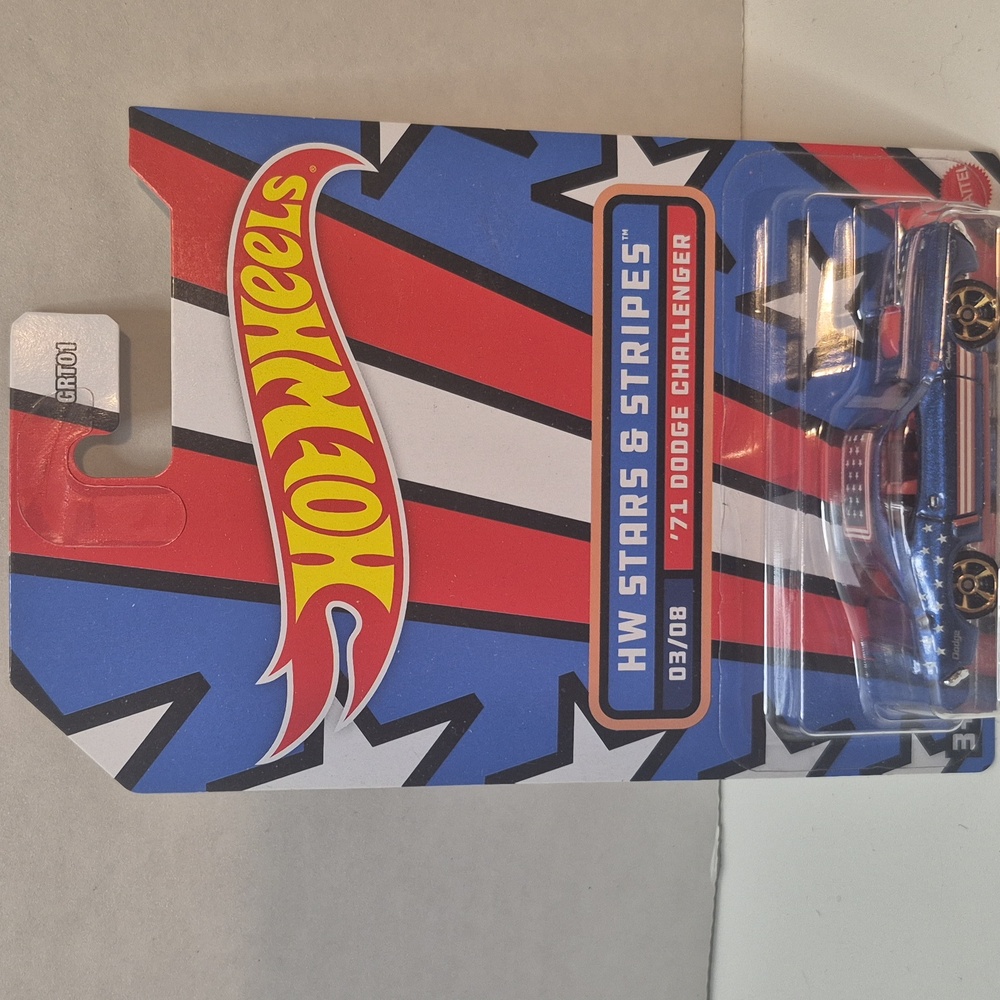 D13 Hot Wheels 71 Dodge Challenger   with shipping protector